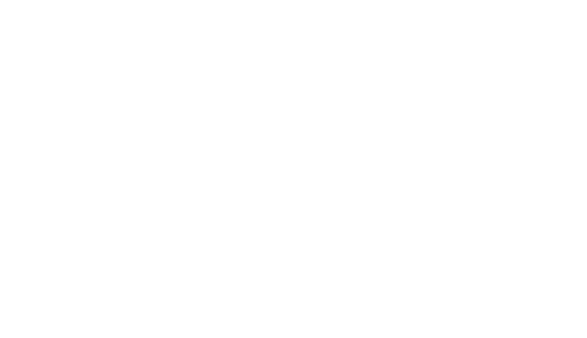 Braveface